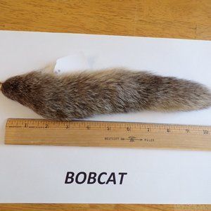 BOBCAT LYNX TAIL keychain purse charm, 12" long, real fur accessory